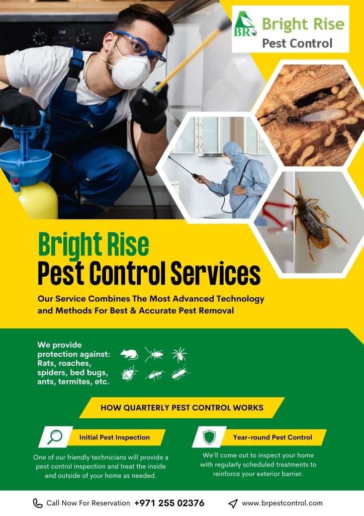 5 Reasons You Should Have Regular Pest Control Bright Rise Pest Control