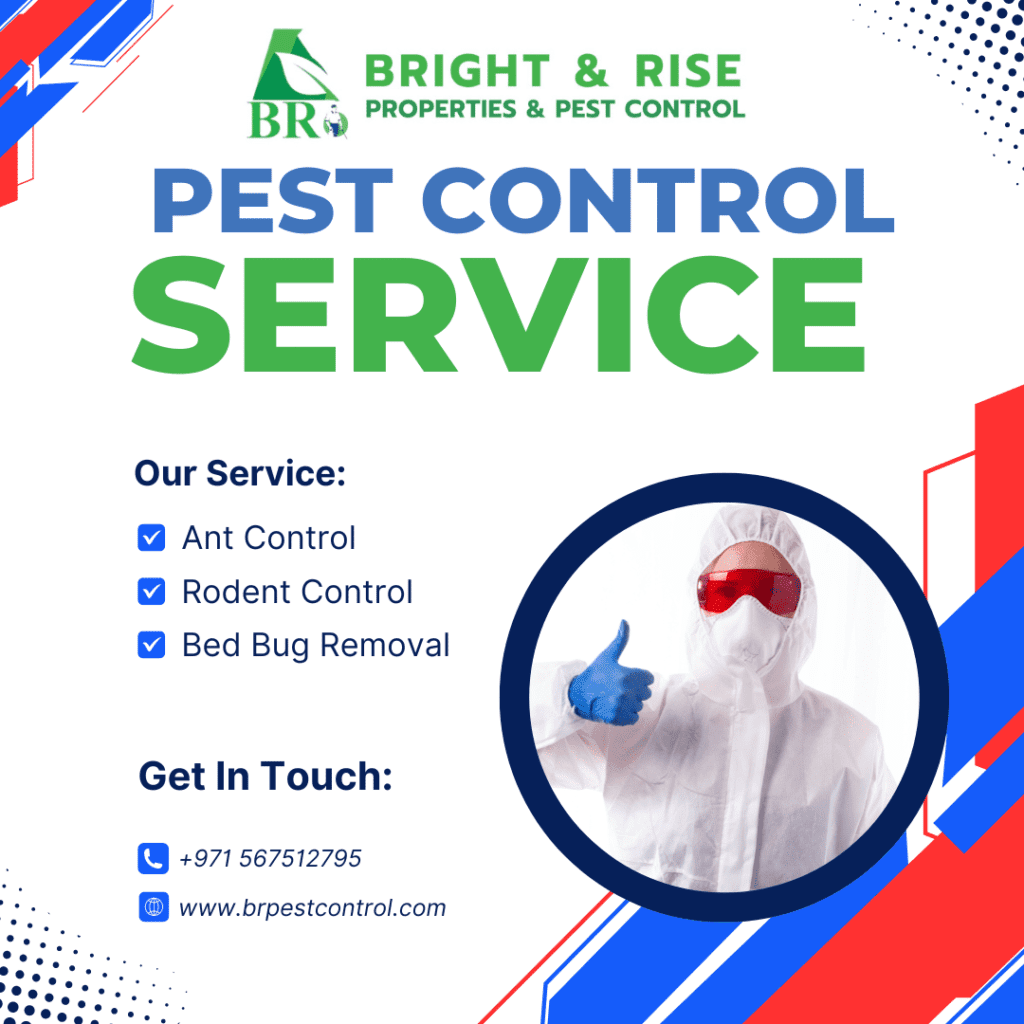 Best Pest Control in Musaffah