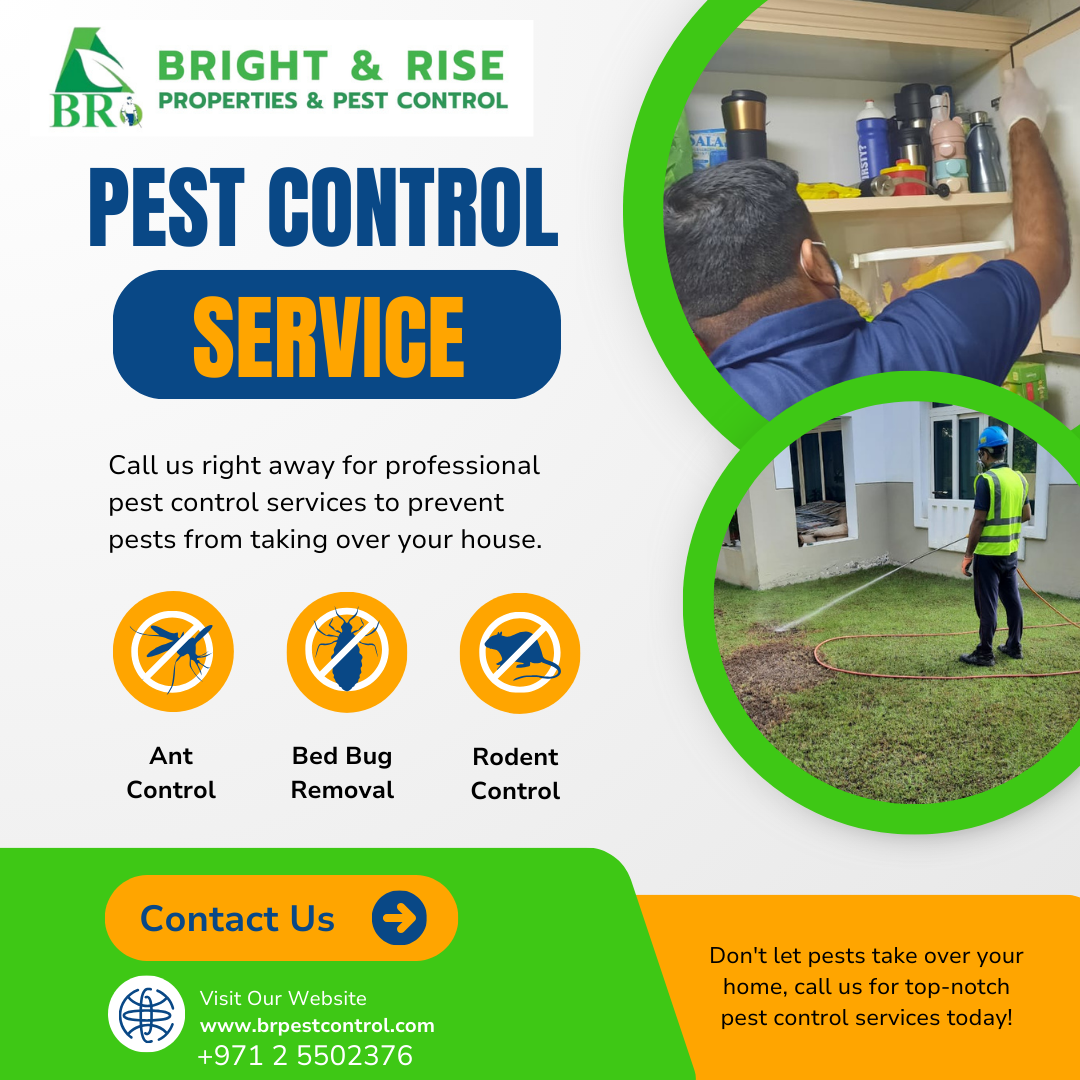 Best Pest Control in Musaffah 2024